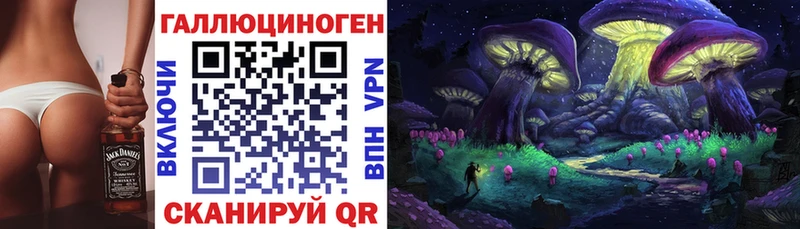 закладки  Химки  Галлюциногенные грибы мицелий 